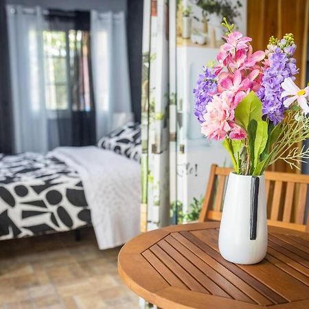 Dos Morenas Apartments - Apt 3 Bajo Boquete Екстериор снимка