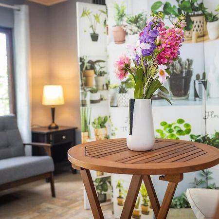 Dos Morenas Apartments - Apt 3 Bajo Boquete Екстериор снимка