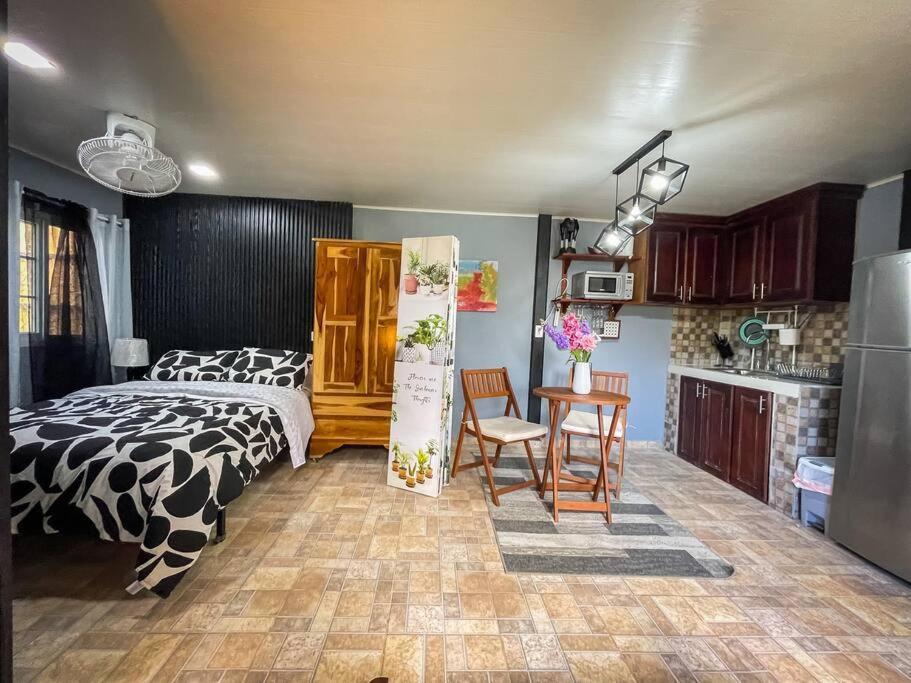 Dos Morenas Apartments - Apt 3 Bajo Boquete Екстериор снимка