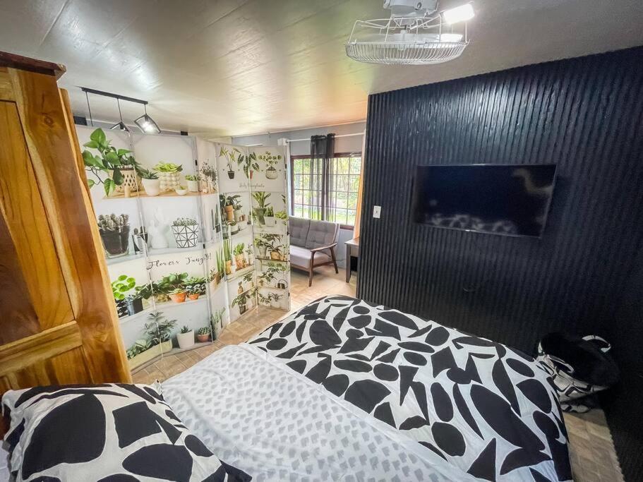 Dos Morenas Apartments - Apt 3 Bajo Boquete Екстериор снимка