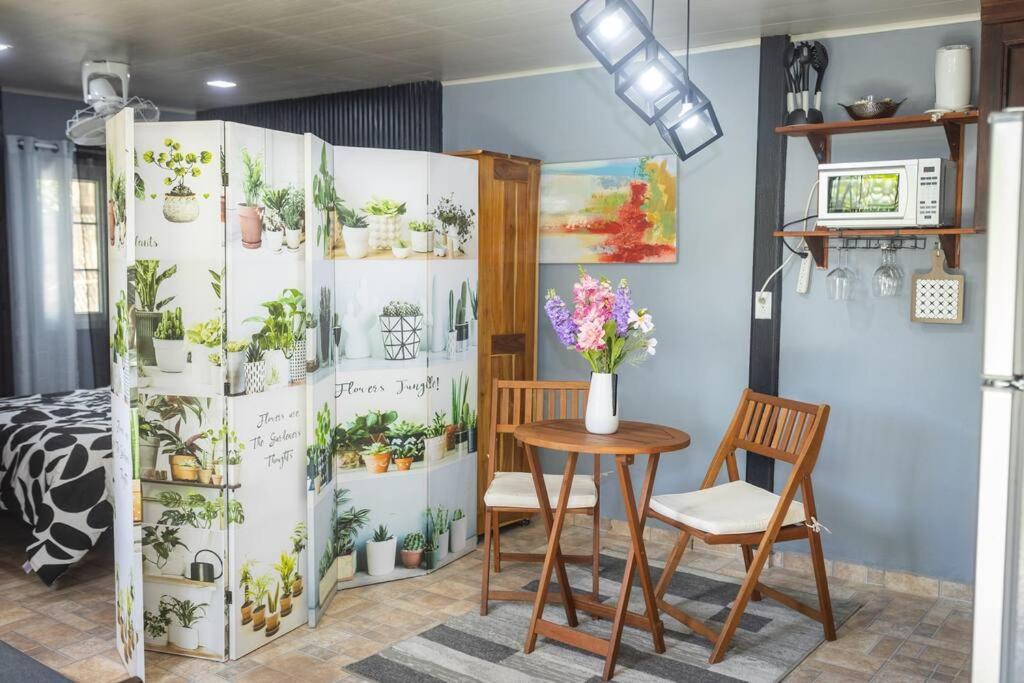 Dos Morenas Apartments - Apt 3 Bajo Boquete Екстериор снимка