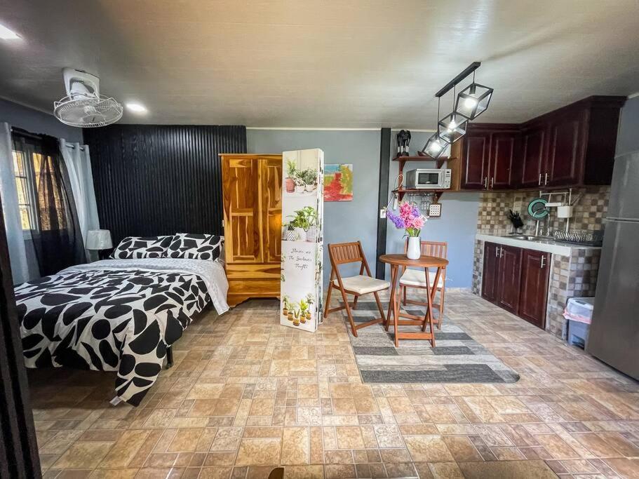 Dos Morenas Apartments - Apt 3 Bajo Boquete Екстериор снимка